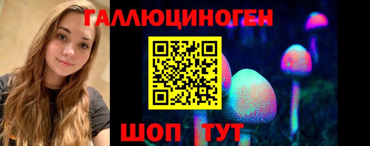 Псилоцибиновые грибы GOLDEN TEACHER  Вход с VPN  Тосно 